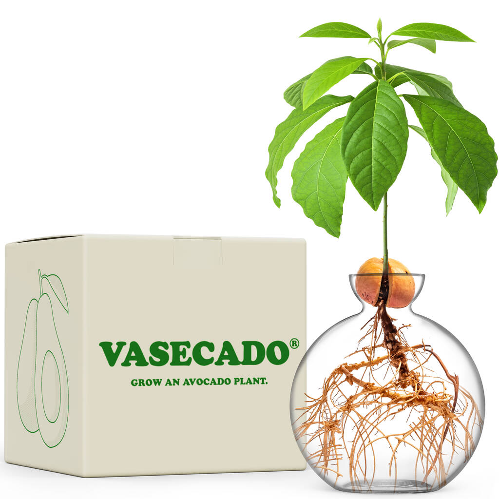 Vasecado®