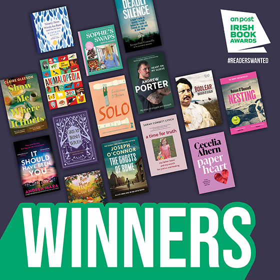 The best Irish books of 2025